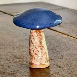 Ceramic Mushroom